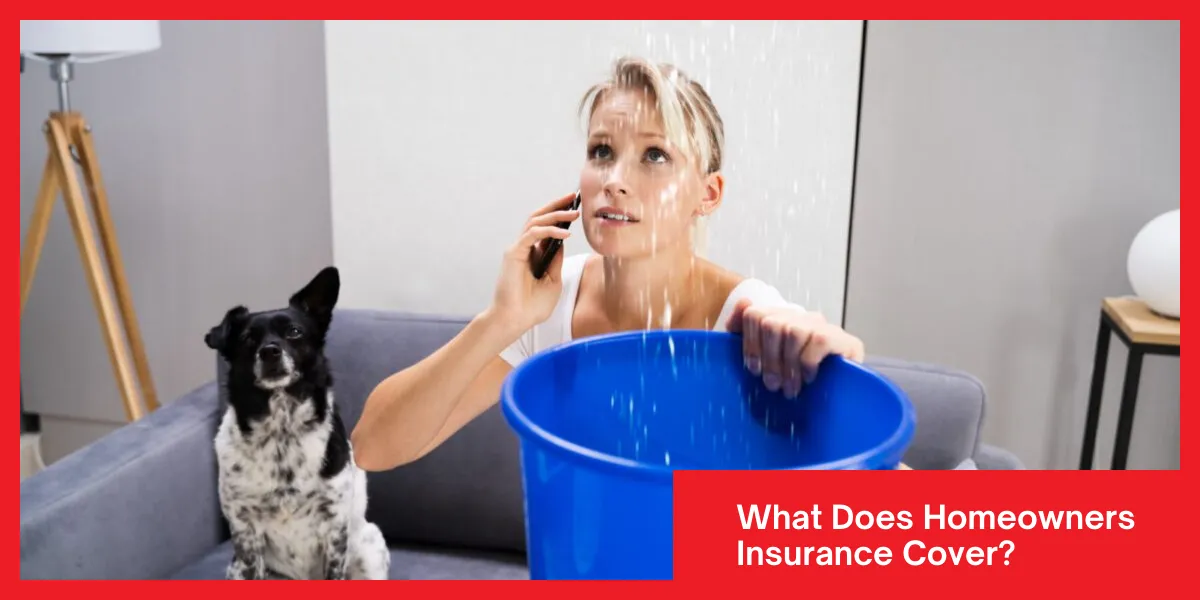 What Does Homeowners Insurance Cover Concerned woman holding a bucket to catch water from a ceiling leak while talking on the phone, with a dog sitting beside her