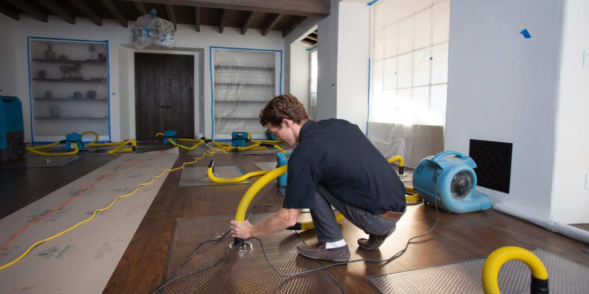 How to Choose the Right Water Damage Service
