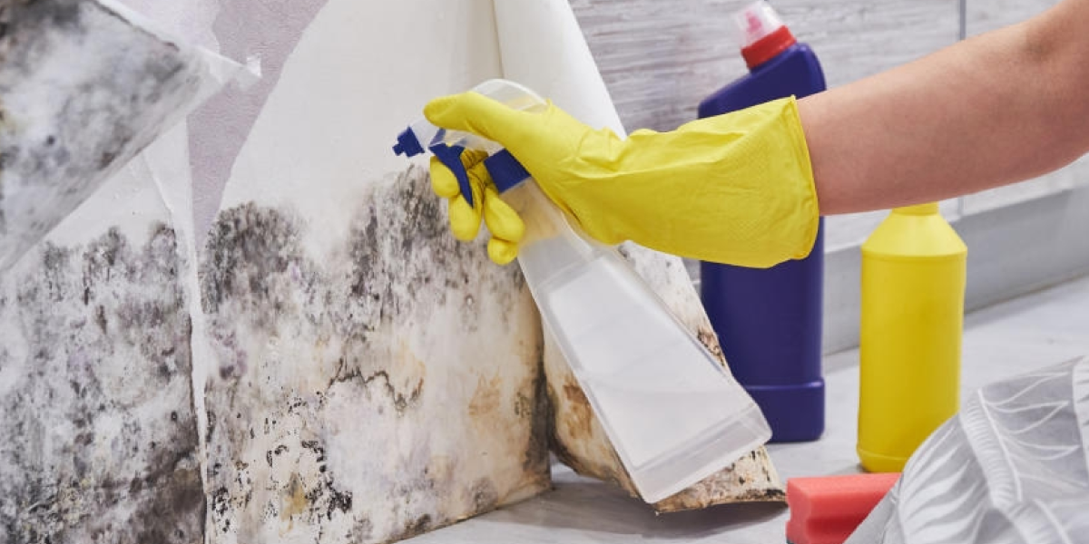 How to Clean Mold Without Bleach