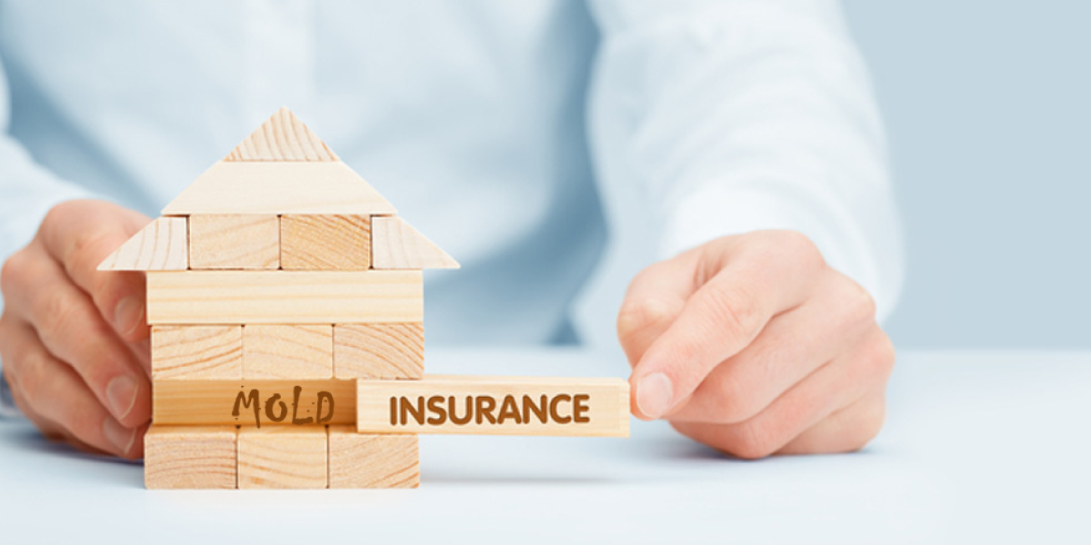 Mold Insurance and Home Liability