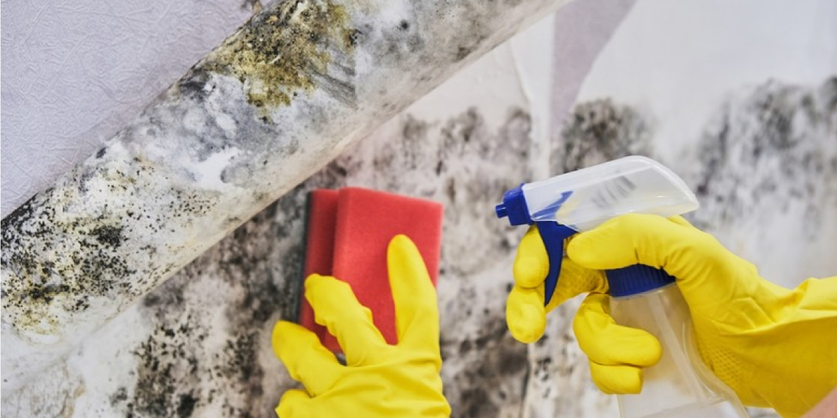 How does hydrogen peroxide kill mold?