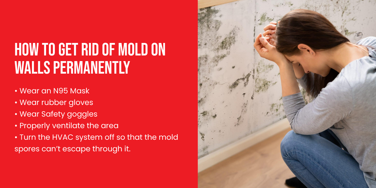 How to get rid of mold on walls permanently