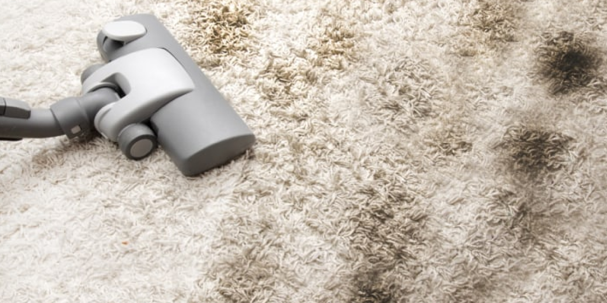 How to remove black mold from carpet