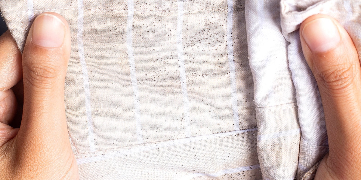 How to remove mold from clothes using sunlight