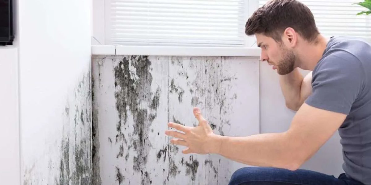 How to Get Rid of Musty Smell in the Basement